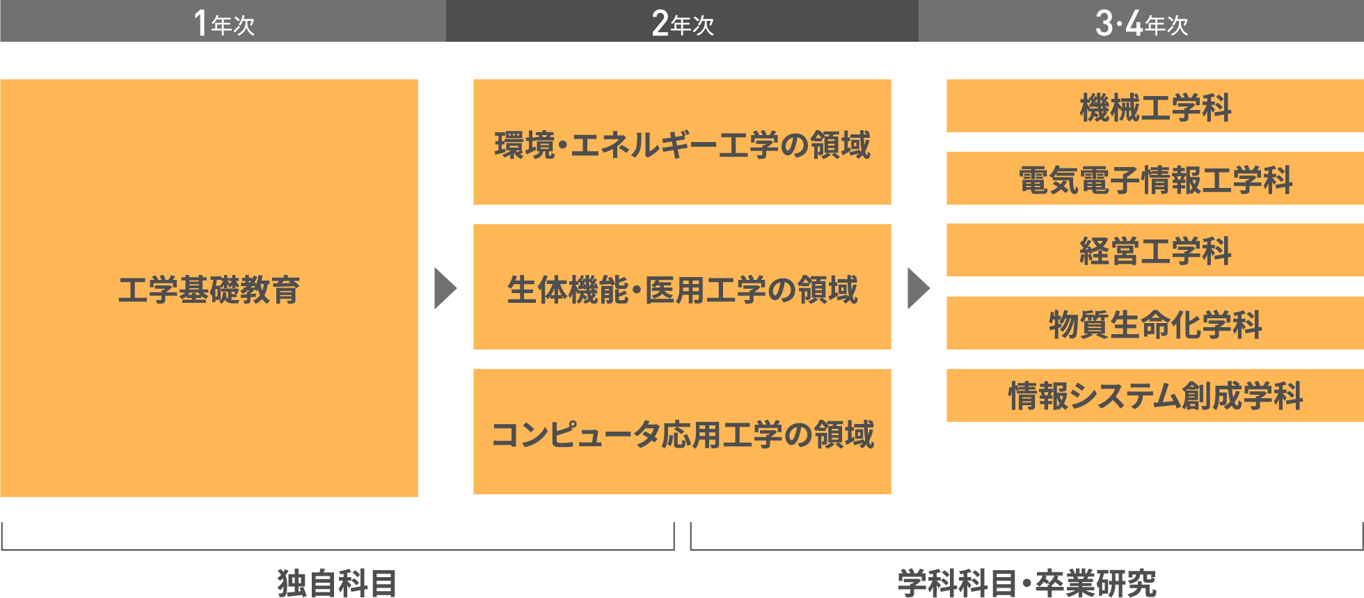 図：カリキュラムの概要