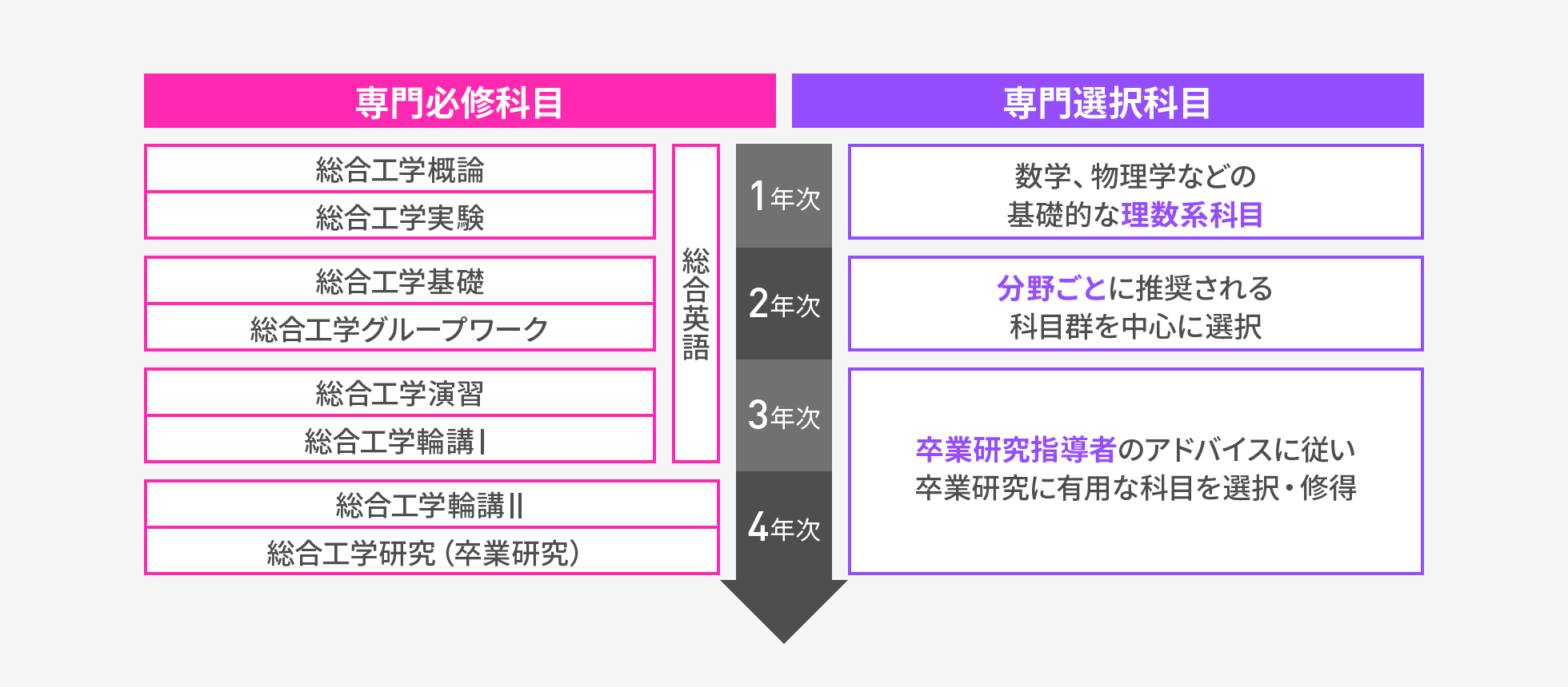 図:専門必修・選択科目