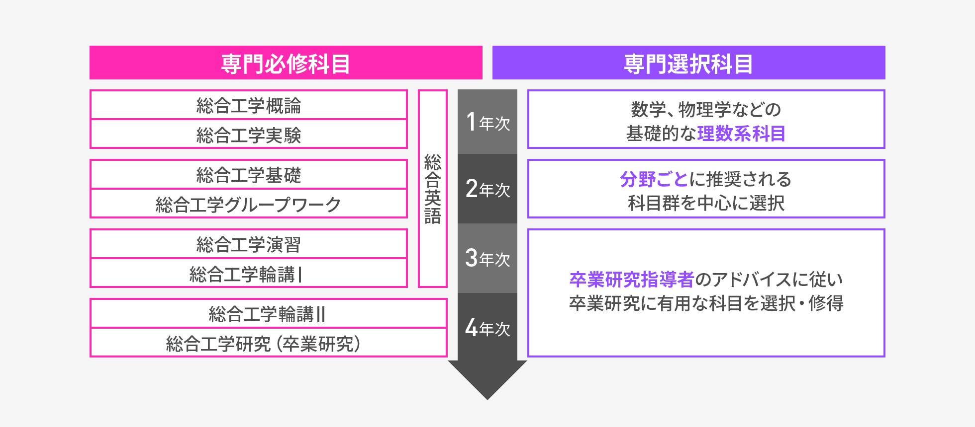 図：専門必修・選択科目